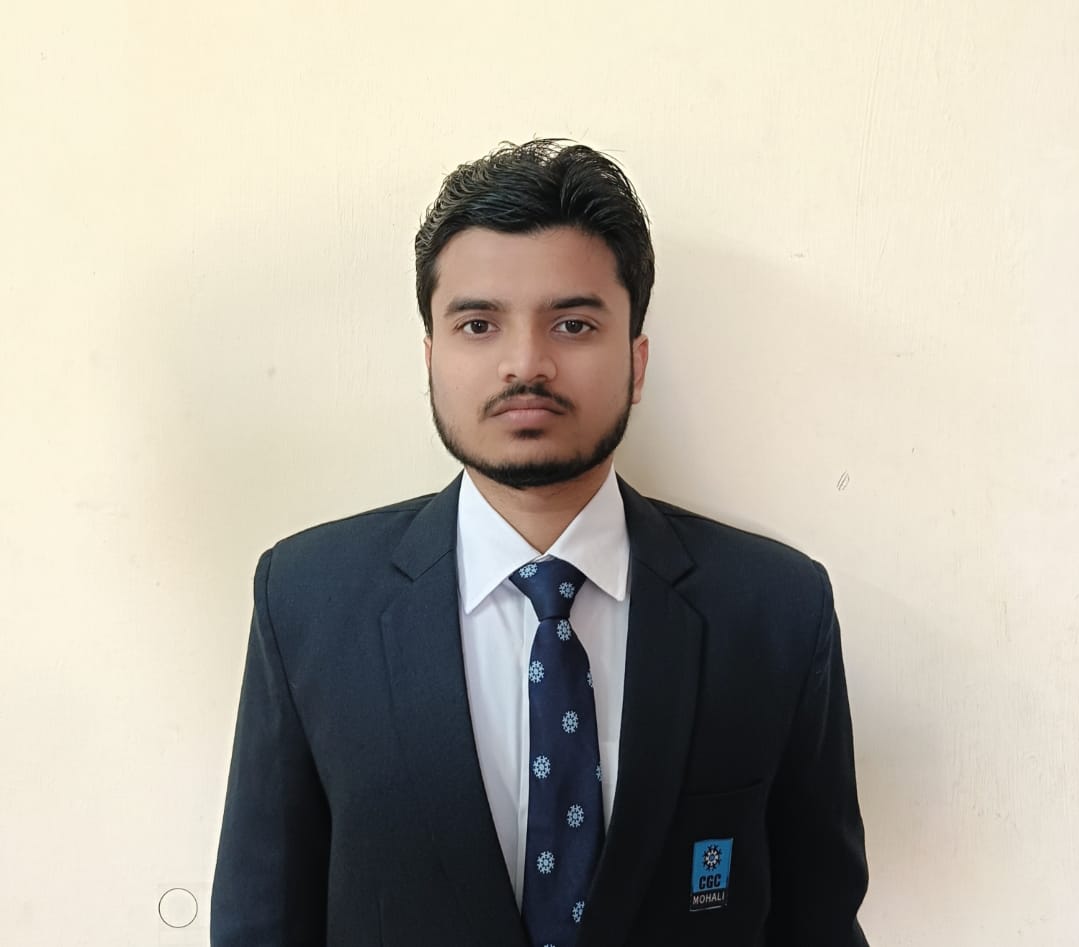 Ayush Raj - CEO